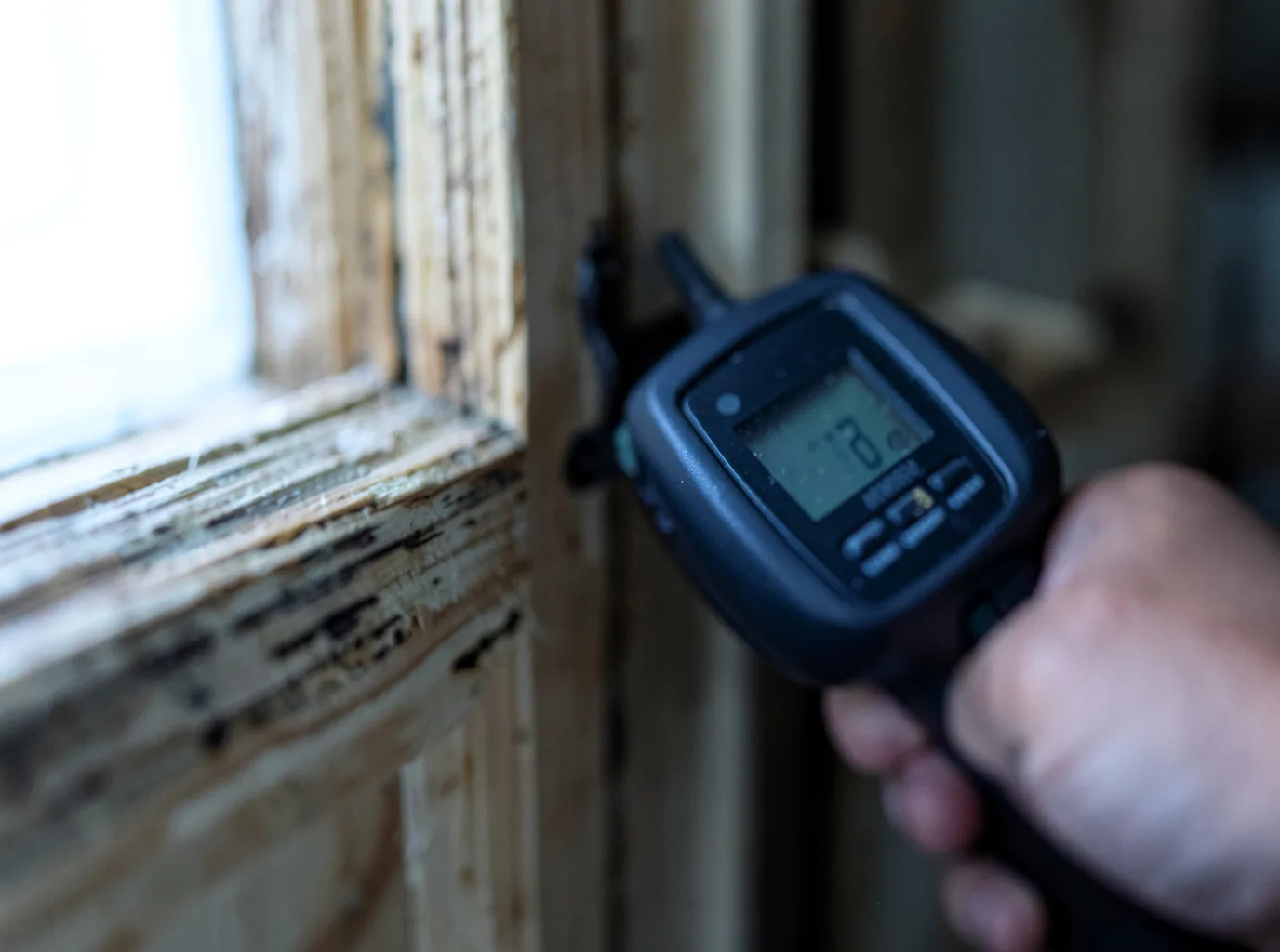 Water Damage Restoration Belden, MS FAQs
